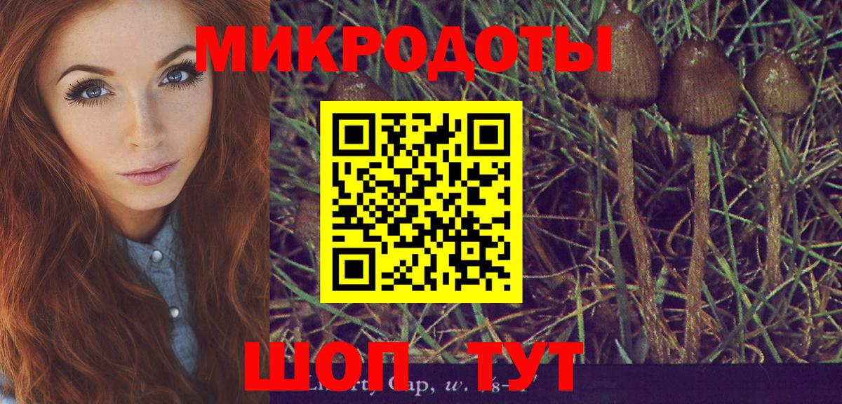Галлюциногенные грибы ЛСД  Псилоцибиновые грибы ЛСД  Каменка  Вход с VPN 