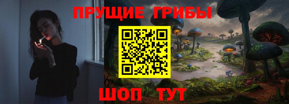 Галлюциногенные грибы MAGIC MUSHROOMS  купить наркотики цена  Каменка 